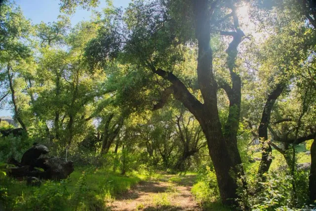 a view of swimming pool with a yard