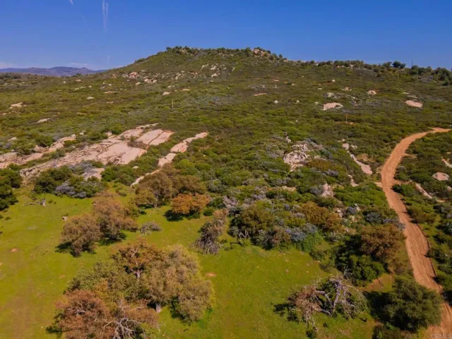 a view of a park with large trees