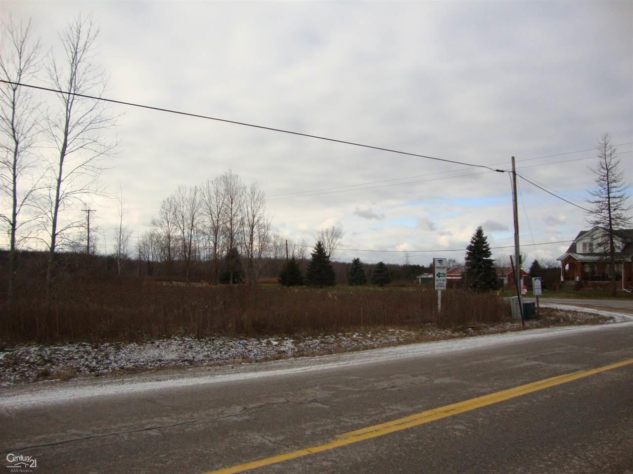 10431 Meisner Road, Unit 0COUNTY LINE Casco, MI 48064 - Photo 8 of 8