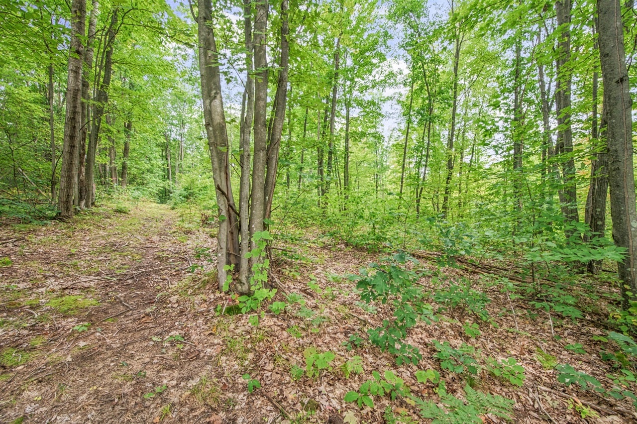 5 8 Mile Road Remus, MI 49340 - Photo 2 of 17 Gallery Image 2
