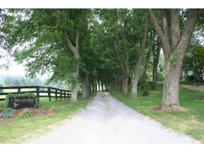 1503 Mill Springs Road Jonesborough, TN 37659 - Photo 1 of 14 Photo 1
