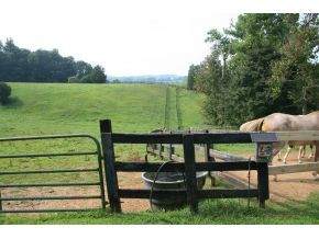1503 Mill Springs Road Jonesborough, TN 37659 - Photo 11 of 14 Photo 11