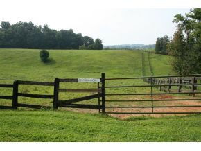 1503 Mill Springs Road Jonesborough, TN 37659 - Photo 12 of 14 Photo 12