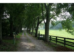 1503 Mill Springs Road Jonesborough, TN 37659 - Photo 14 of 14 Photo 14
