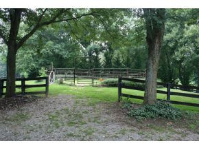 1503 Mill Springs Road Jonesborough, TN 37659 - Photo 4 of 14 Photo 4