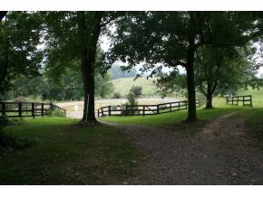 1503 Mill Springs Road Jonesborough, TN 37659 - Photo 5 of 14 Photo 5