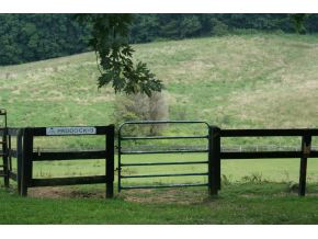 1503 Mill Springs Road Jonesborough, TN 37659 - Photo 10 of 14 Photo 10