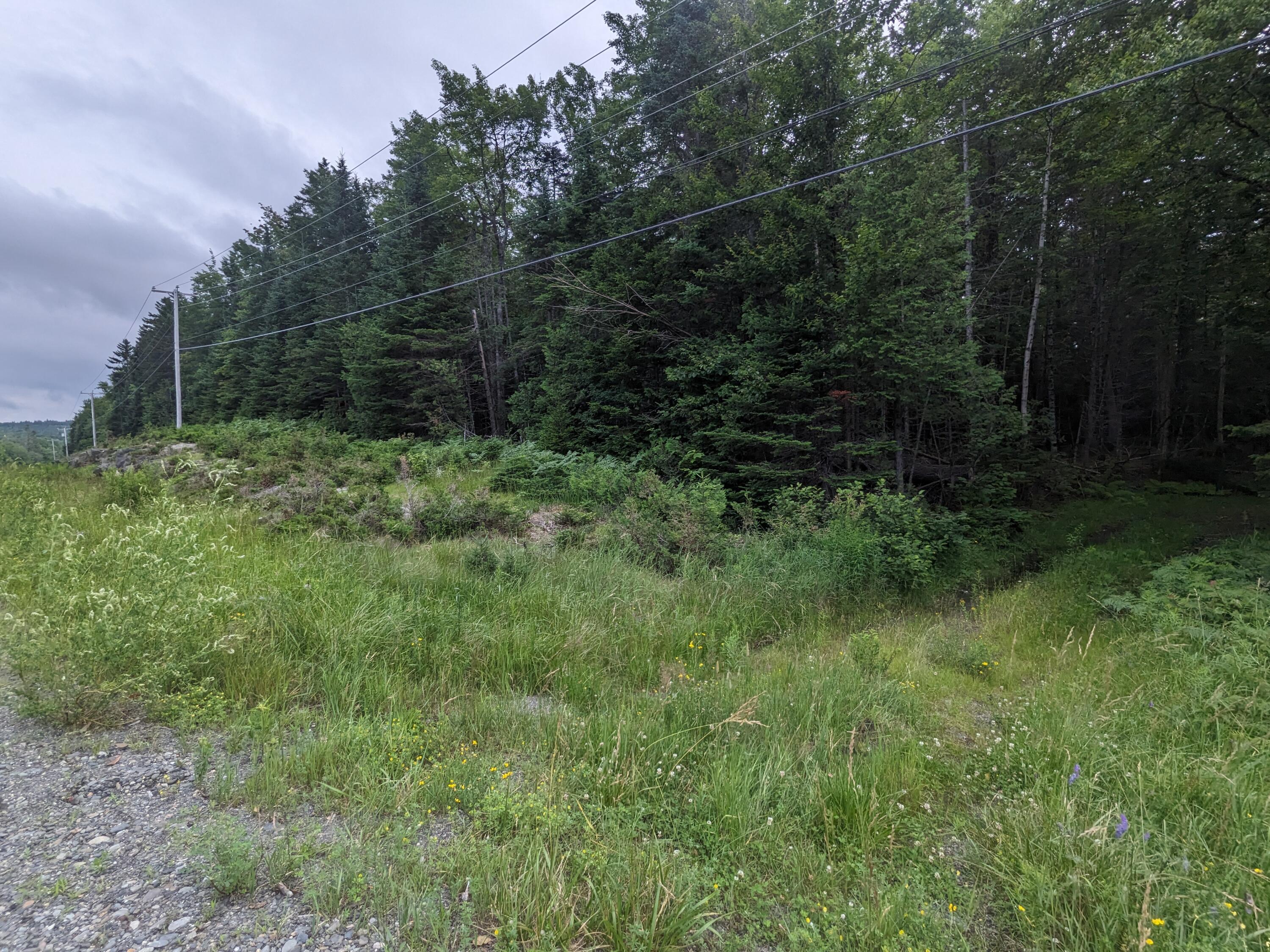 2 Greenville Road Shirley Mills, ME 04485 - Photo 38 of 40 PXL_20230715_211917955