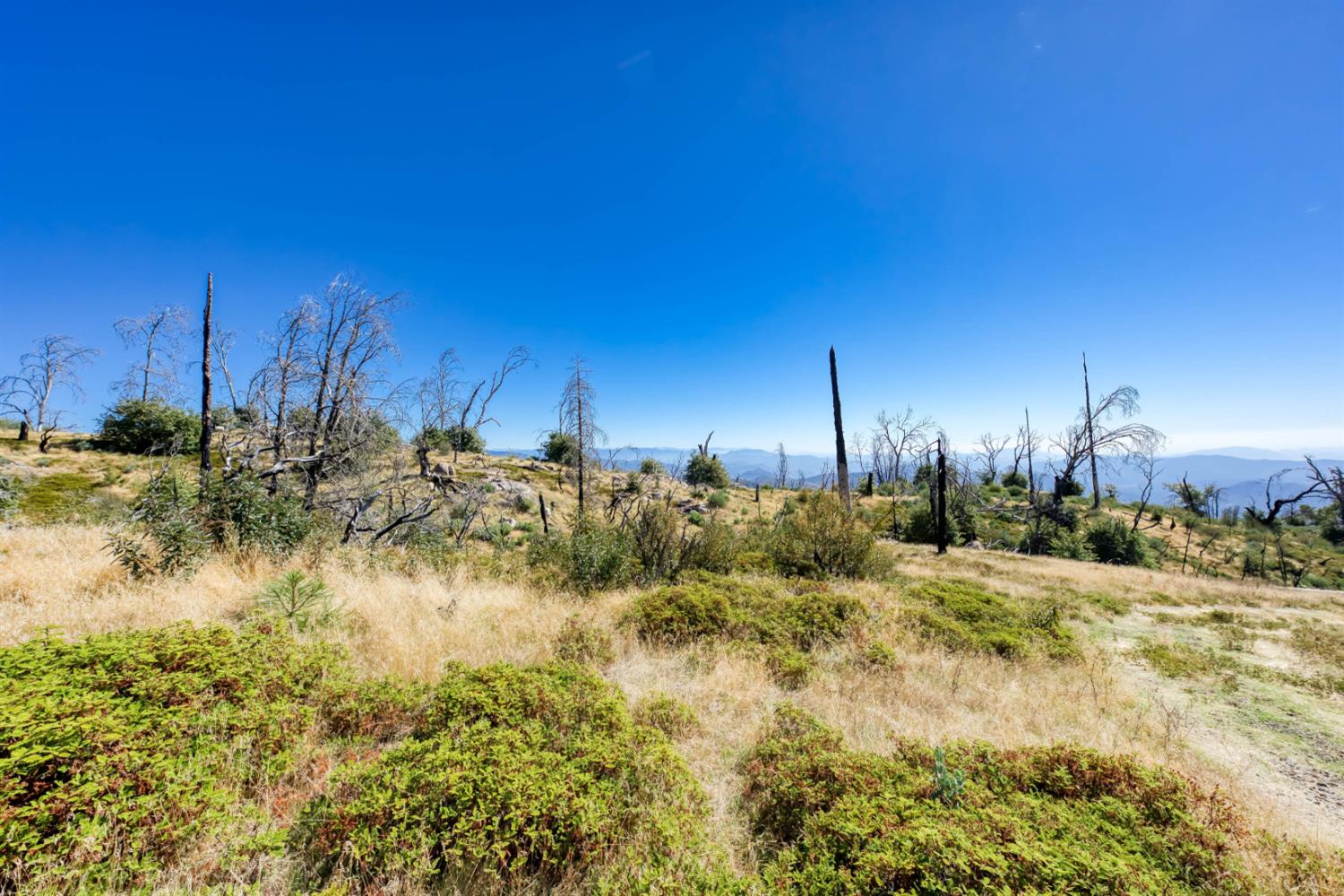 11111 Lower Cressman Road Shaver Lake, CA 93664 - Photo 5 of 23