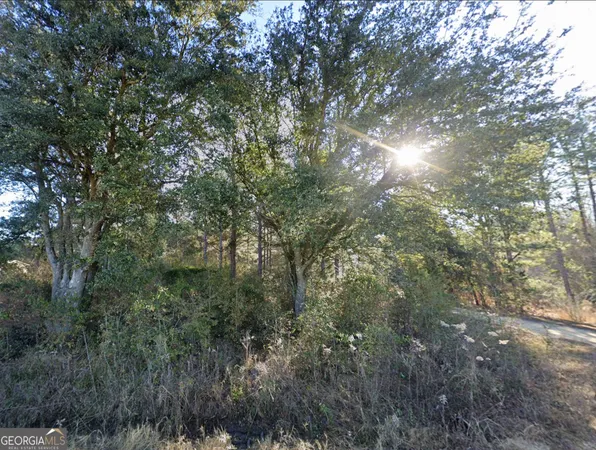 a view of forest
