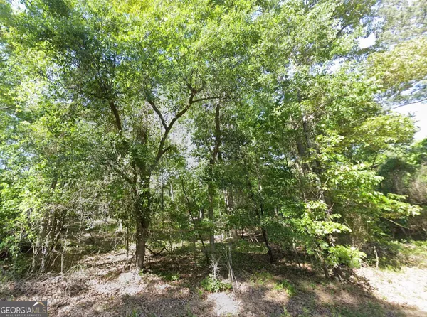 a big yard with lots of green space and trees