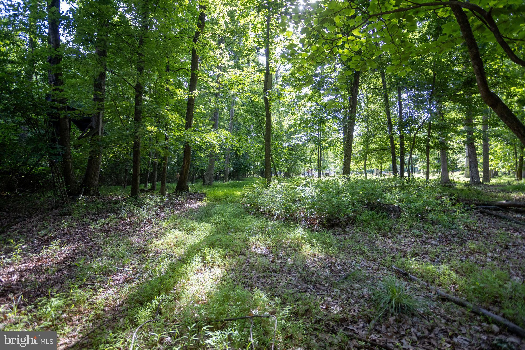 110 Cold Springs Road Carlisle, PA 17015 - Photo 20 of 25