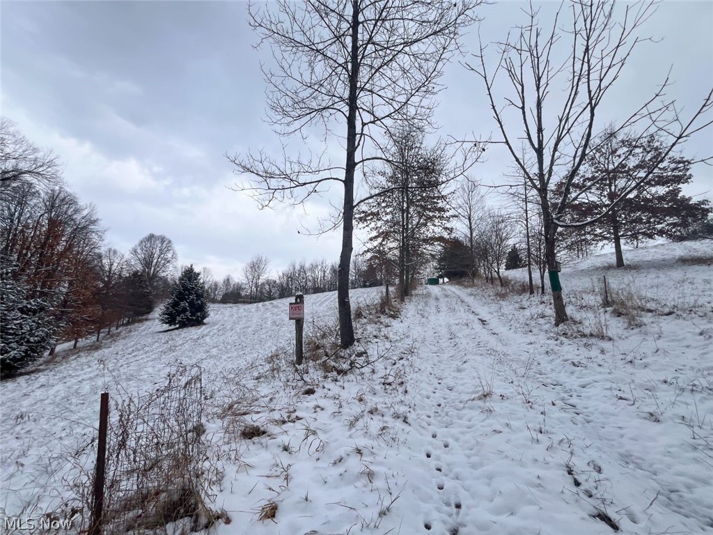 87085 Crall Road Scio, OH 43988 - Photo 18 of 30