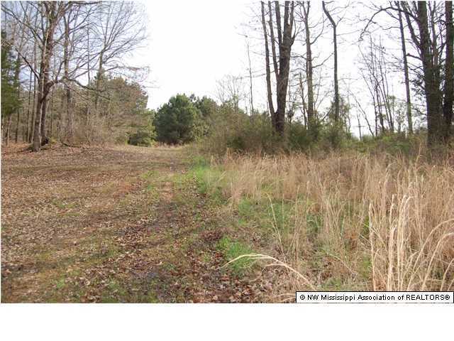 0 South Slayden Road Lamar, MS 38642 - Photo 5 of 6 Additional Photo