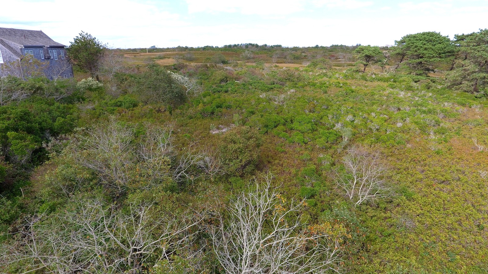 29 Ridge Lane Nantucket, MA 02554 - Photo 5 of 5 Gallery Image 5