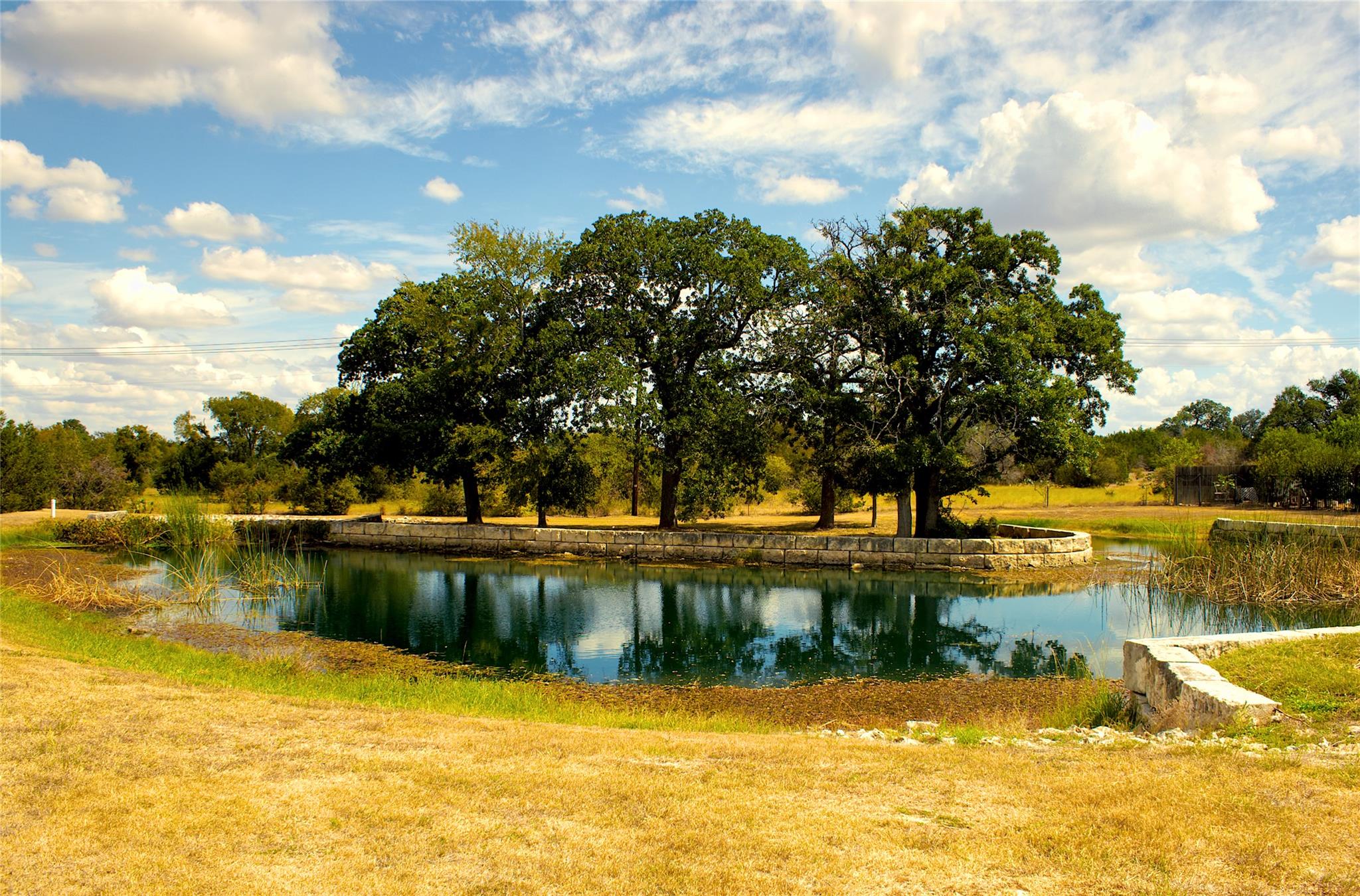 300 Tesla Circle Austin, TX 78681 - Photo 33 of 39 Natural pond with a central tree-covered island and surrounding stone wall accents