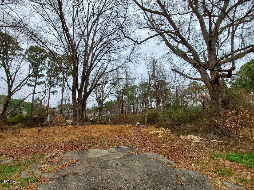 3020 Holland Road Apex, NC 27502 - Photo 12 of 19 a backyard of a house with large trees