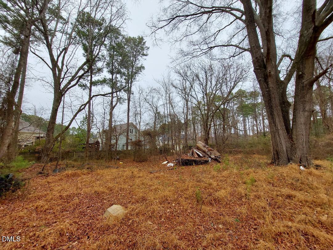 3020 Holland Road Apex, NC 27502 - Photo 13 of 19 a backyard of a house with lots of green space
