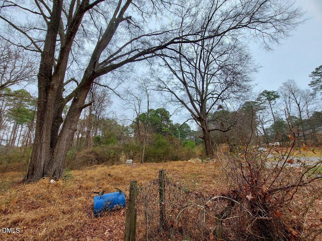 3020 Holland Road Apex, NC 27502 - Photo 14 of 19 a view of backyard with tree