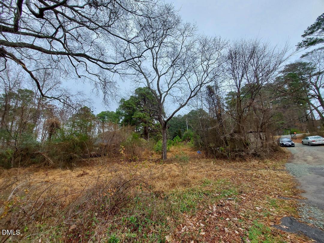 3020 Holland Road Apex, NC 27502 - Photo 16 of 19 a backyard of a house with lots of green space