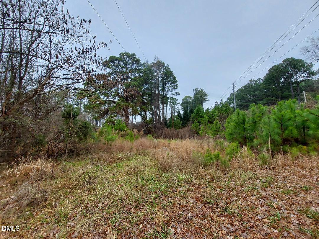 3020 Holland Road Apex, NC 27502 - Photo 6 of 19 a view of a yard with a tree