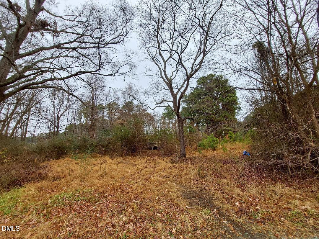 3020 Holland Road Apex, NC 27502 - Photo 7 of 19 a backyard of a house with lots of green space