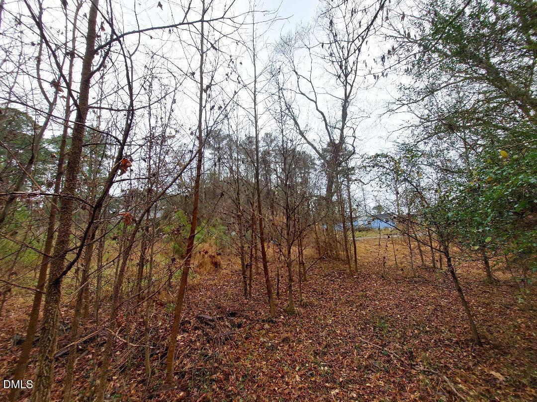 3020 Holland Road Apex, NC 27502 - Photo 9 of 19 a backyard of a house with lots of green space