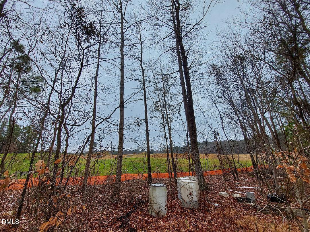 3020 Holland Road Apex, NC 27502 - Photo 10 of 19 a view of a backyard
