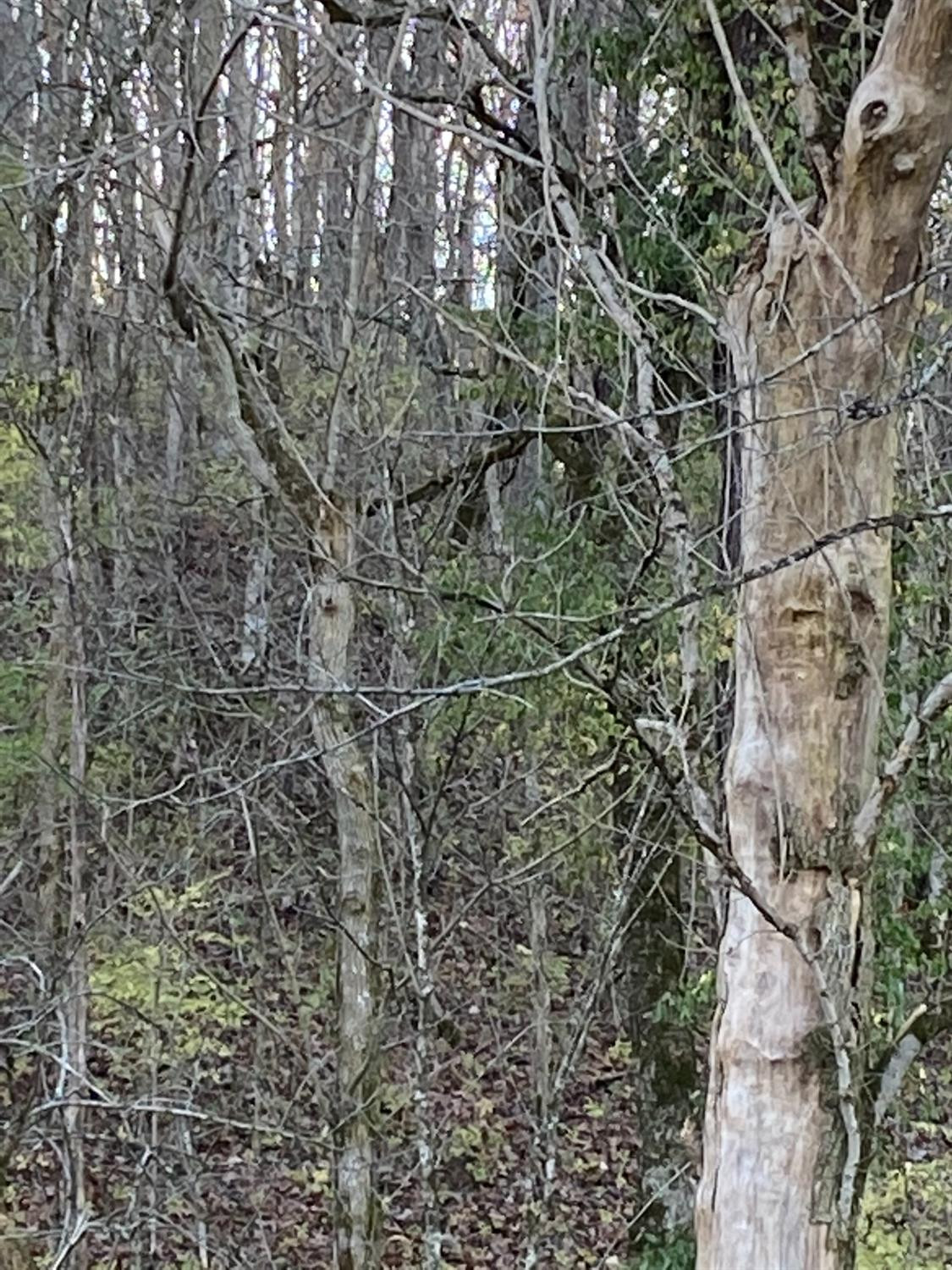 0 Oakley Wells Road Richmond, KY 40475 - Photo 7 of 7 Photo 7