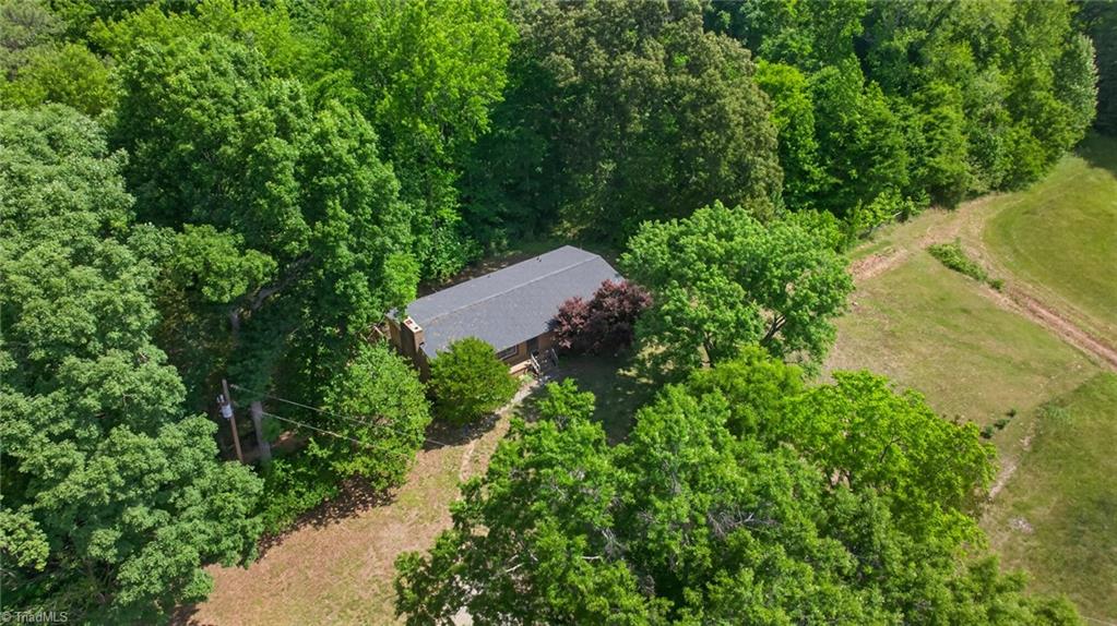 9791 Old Liberty Road Liberty, NC 27298 - Photo 39 of 43