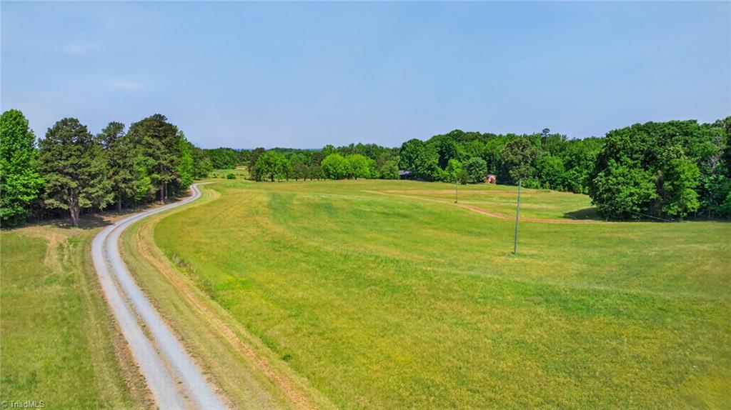 9791 Old Liberty Road Liberty, NC 27298 - Photo 9 of 43