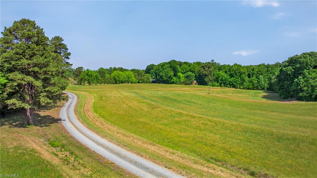 9791 Old Liberty Road Liberty, NC 27298 - Photo 10 of 43