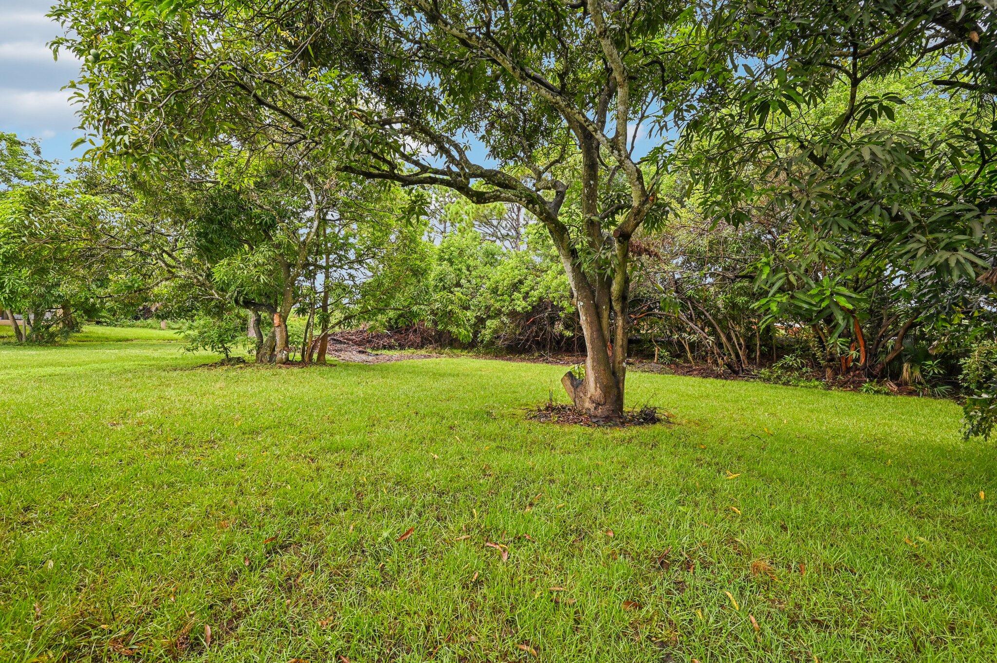 5852 Southeast Wesley Avenue Stuart, FL 34997 - Photo 10 of 27 a huge green field with lots of trees