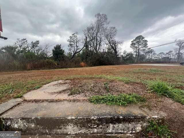 0 North State Street Lyons, GA 30436 - Photo 2 of 4