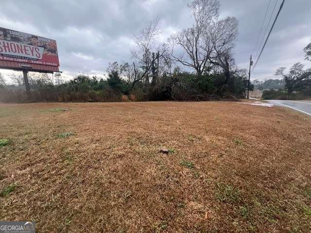 0 North State Street Lyons, GA 30436 - Photo 4 of 4