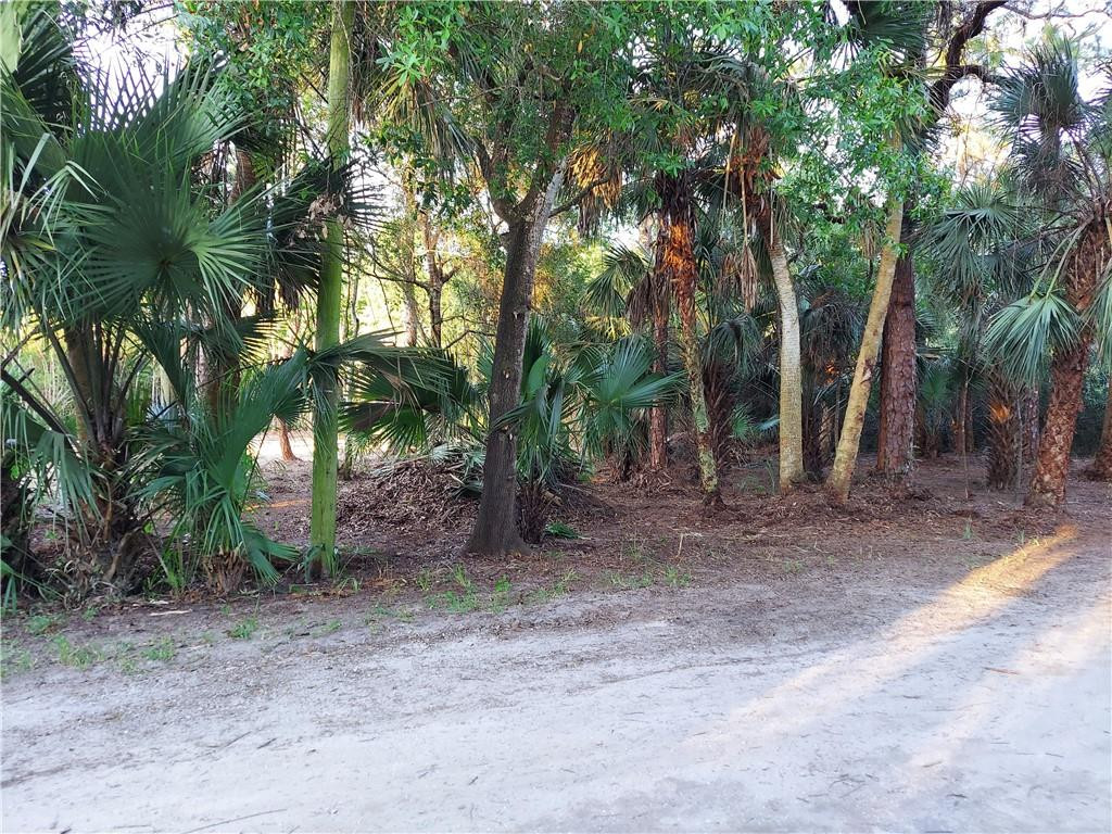 12319 Old Indiantown Road Jupiter, FL 33478 - Photo 15 of 19 Photo 15