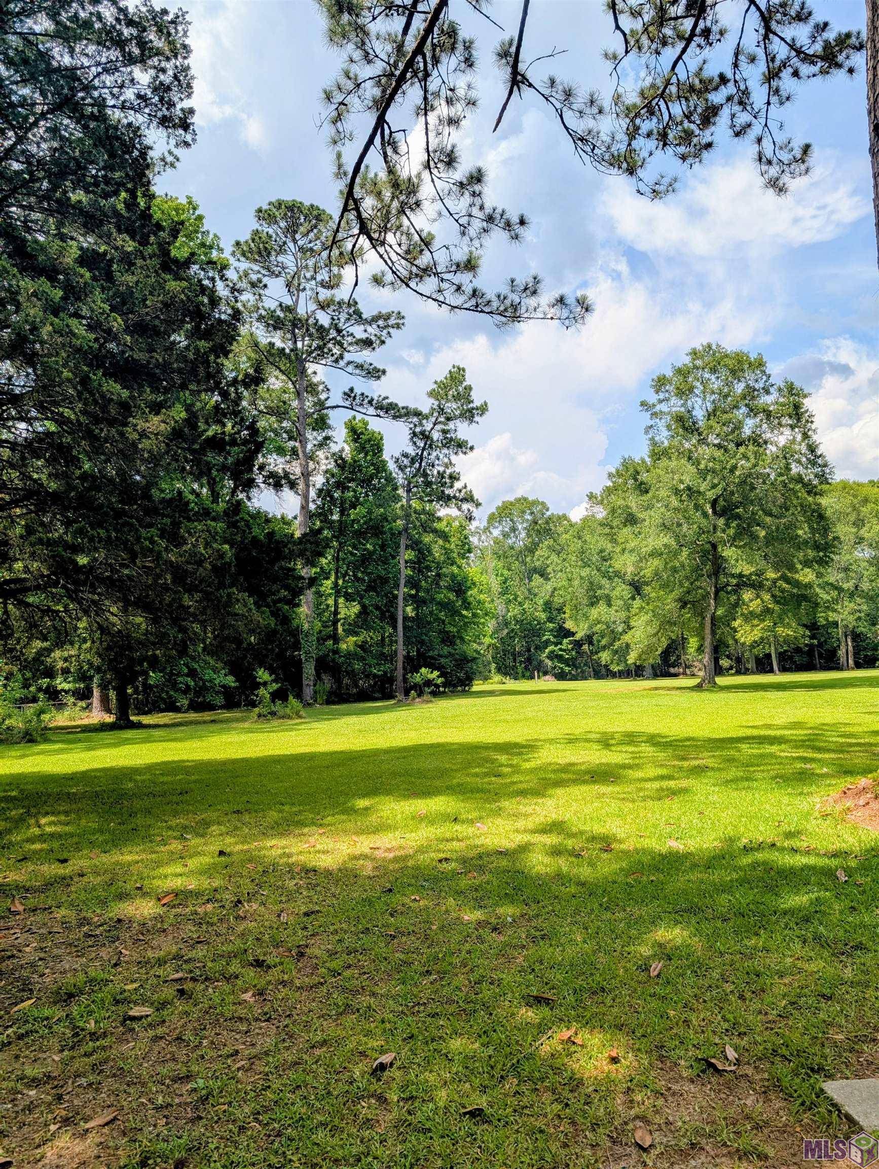 Tbd Newton Street Jackson, LA 70748 - Photo 6 of 7