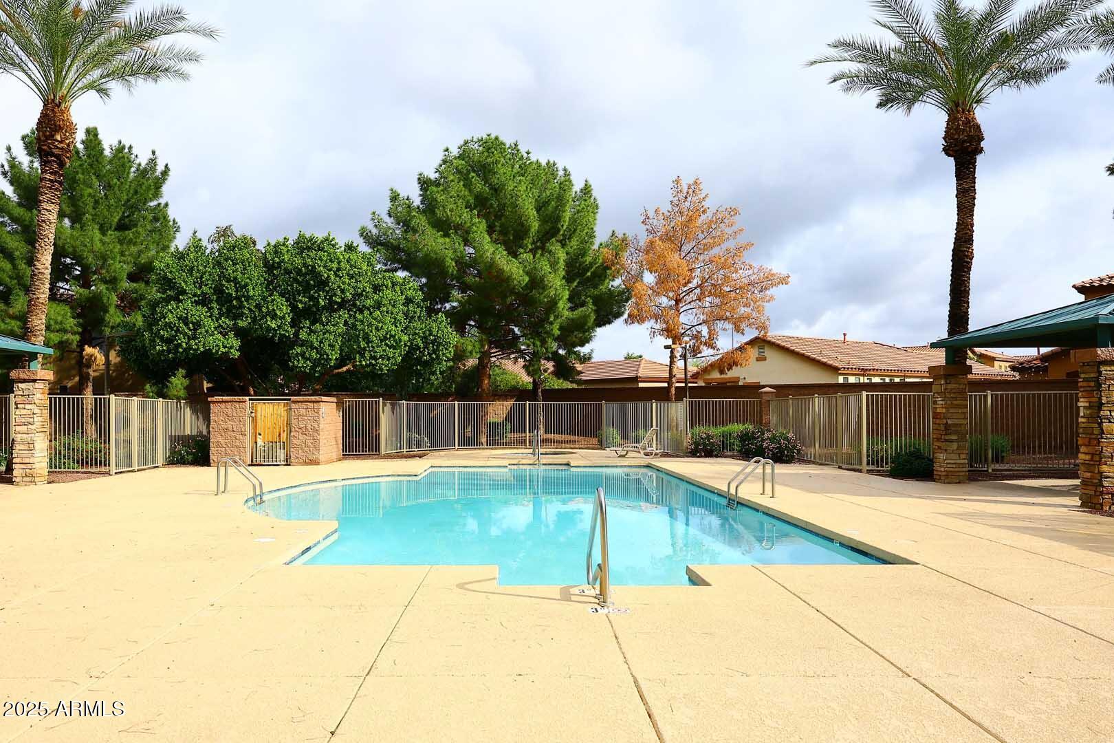 2710 East Chester Drive Chandler, AZ 85286 - Photo 27 of 28 a swimming pool with palm trees
