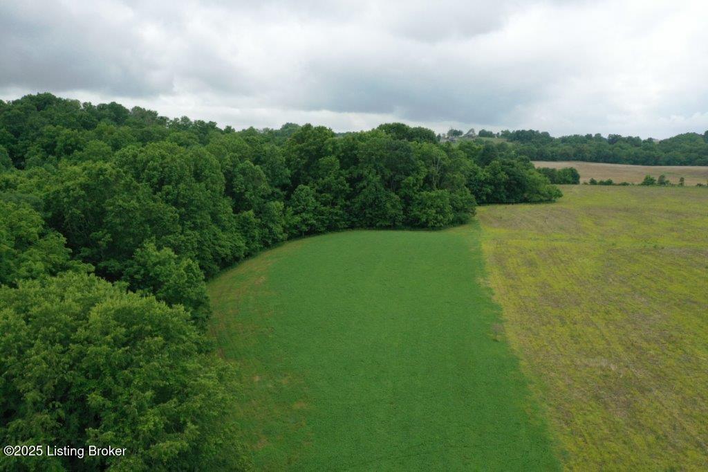 9999 Bloomfield Road Springfield, KY 40069 - Photo 3 of 24 DJI_0286