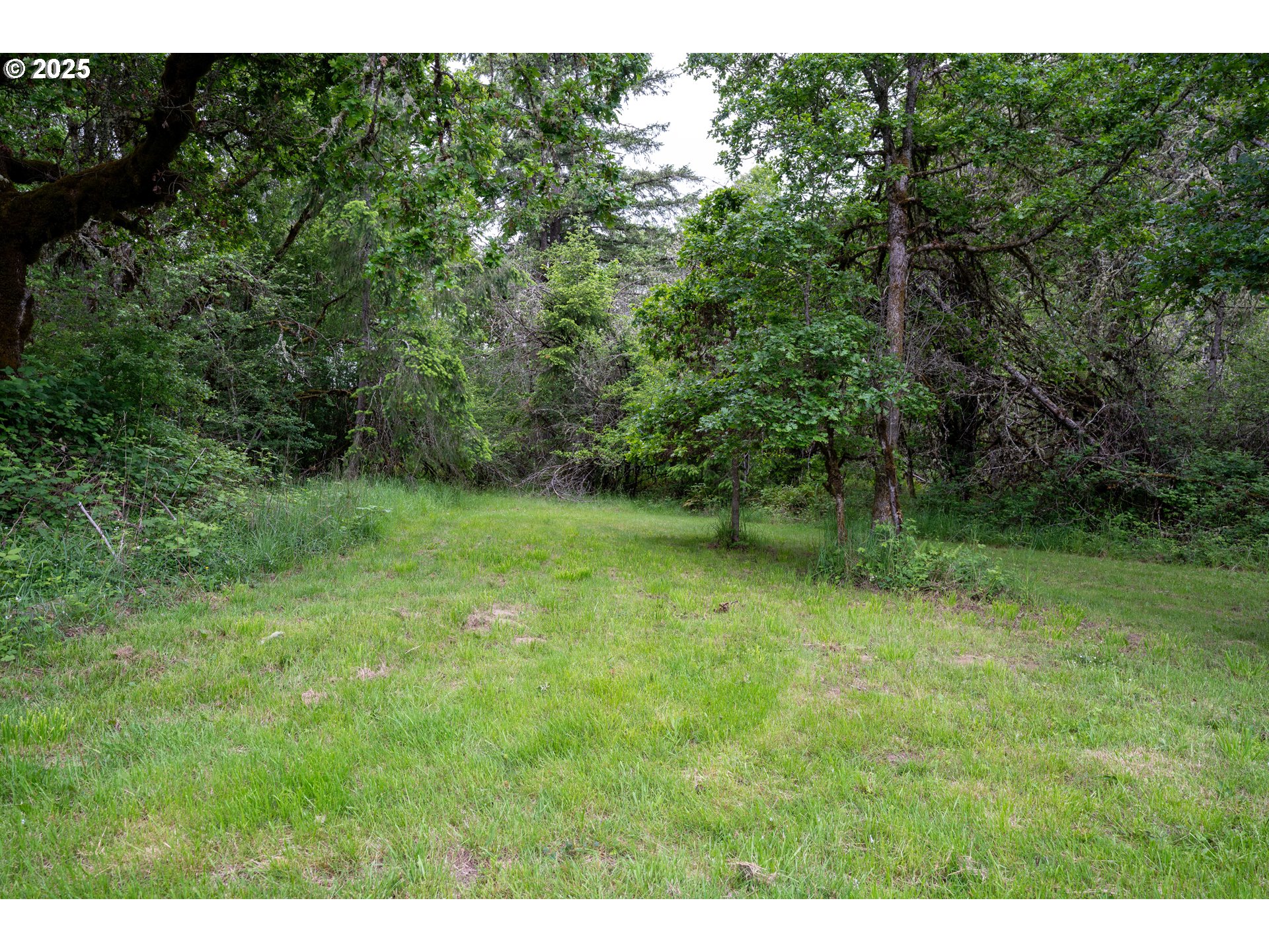 87554 Miller Road Veneta, OR 97487 - Photo 44 of 48