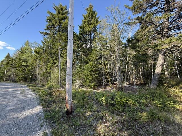 Lot 13 Pidgeon Point Road Whiting, ME 04691 - Photo 18 of 25 IMG_9963 (1)