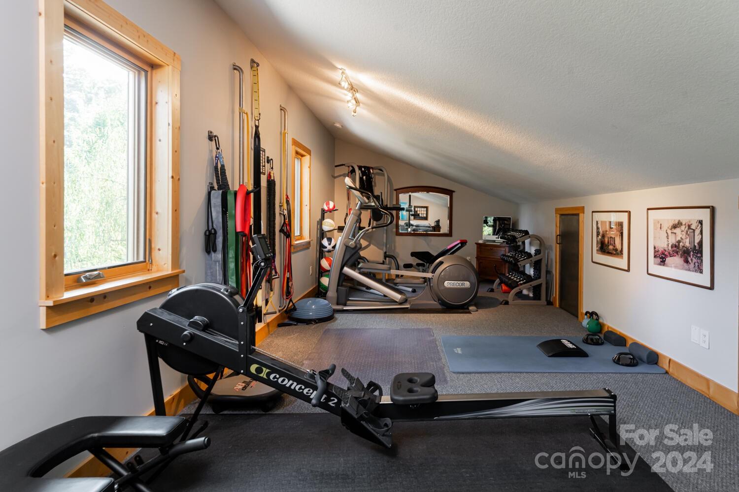 265 Alexander Road Alexander, NC 28701 - Photo 31 of 48 a view of a room with gym equipment