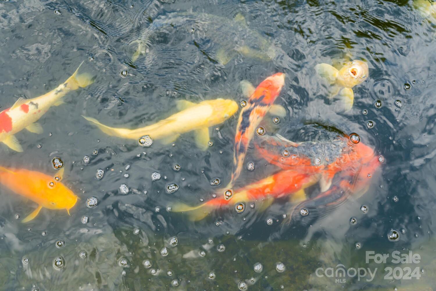 265 Alexander Road Alexander, NC 28701 - Photo 36 of 48 a view of a yard