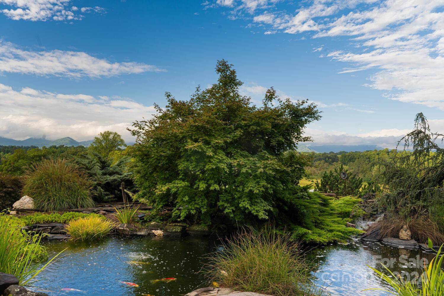 265 Alexander Road Alexander, NC 28701 - Photo 4 of 48 a view of a lake in between two of trees