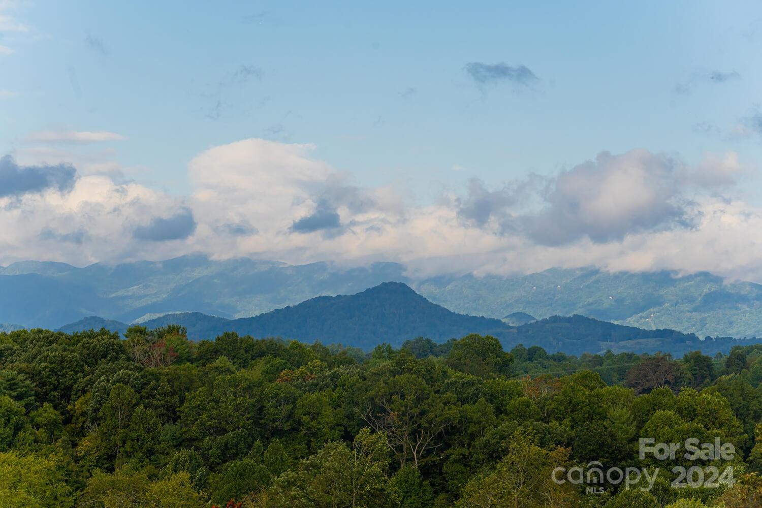 265 Alexander Road Alexander, NC 28701 - Photo 5 of 48 a view of a city and mountains in the background