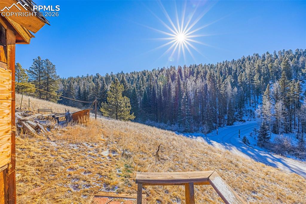 69 Snowberry Creek Road Florissant, CO 80816 - Photo 12 of 16 a view of a backyard