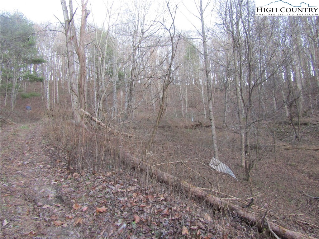 Tba Wards Branch Road Sugar Grove, NC 28679 - Photo 8 of 11 Gallery Image 8