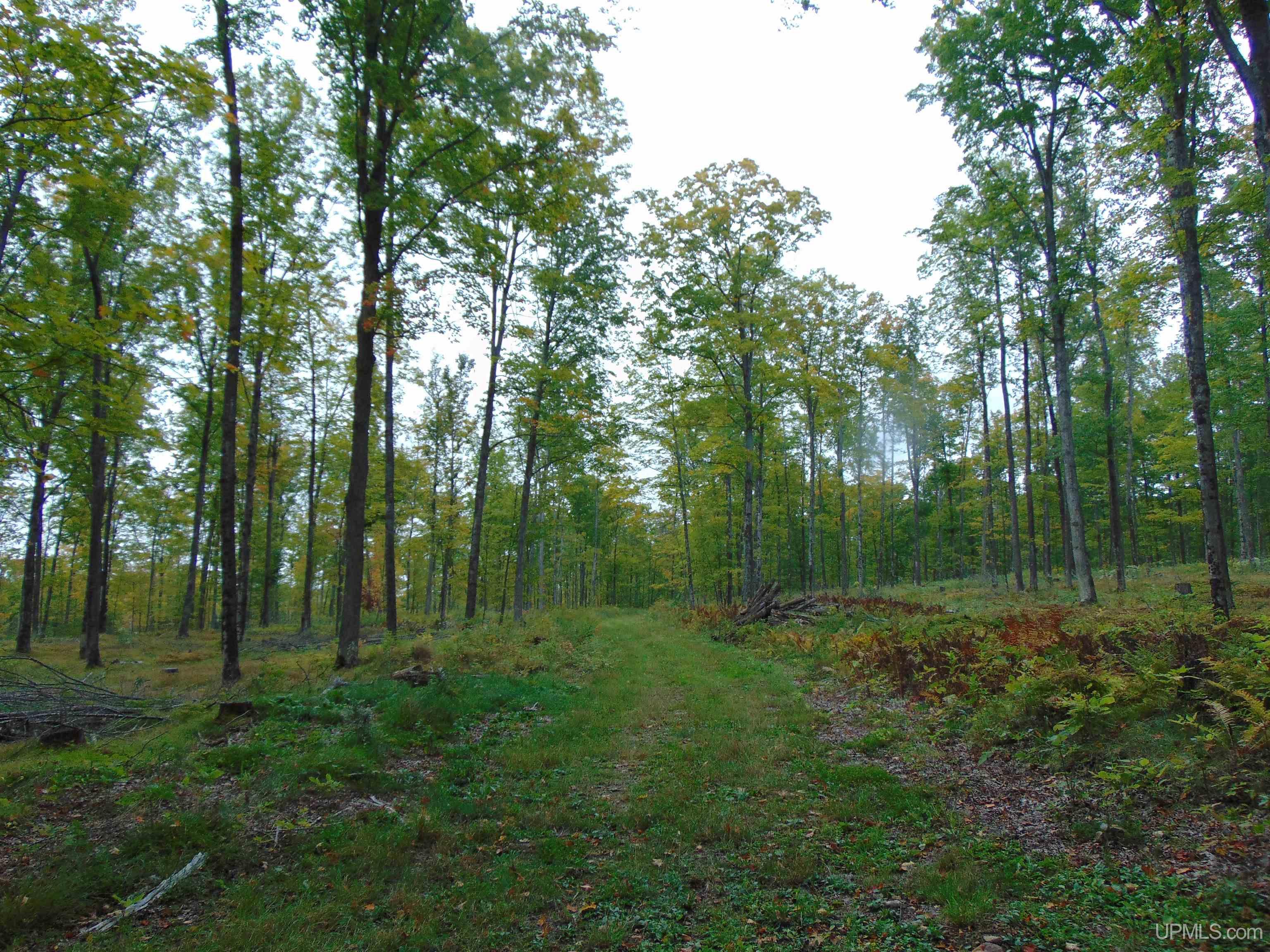 2792 County Line Road Vulcan, MI 49892 - Photo 92 of 99