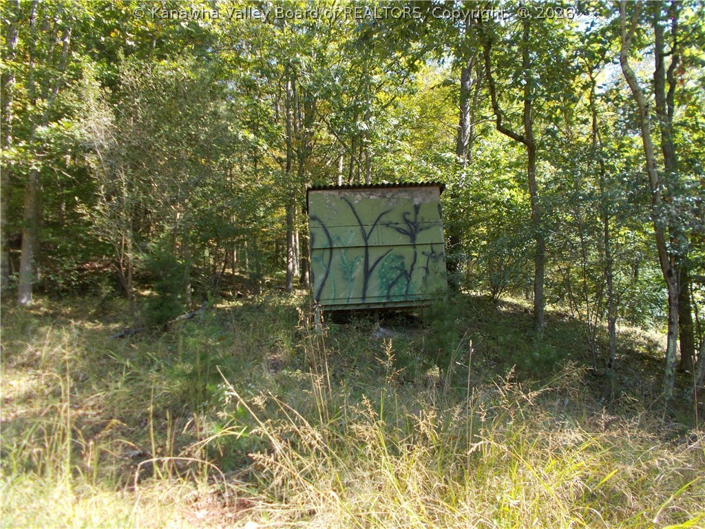 0 Mud Lick Road Liberty, WV 25124 - Photo 21 of 30 Gallery Image 21