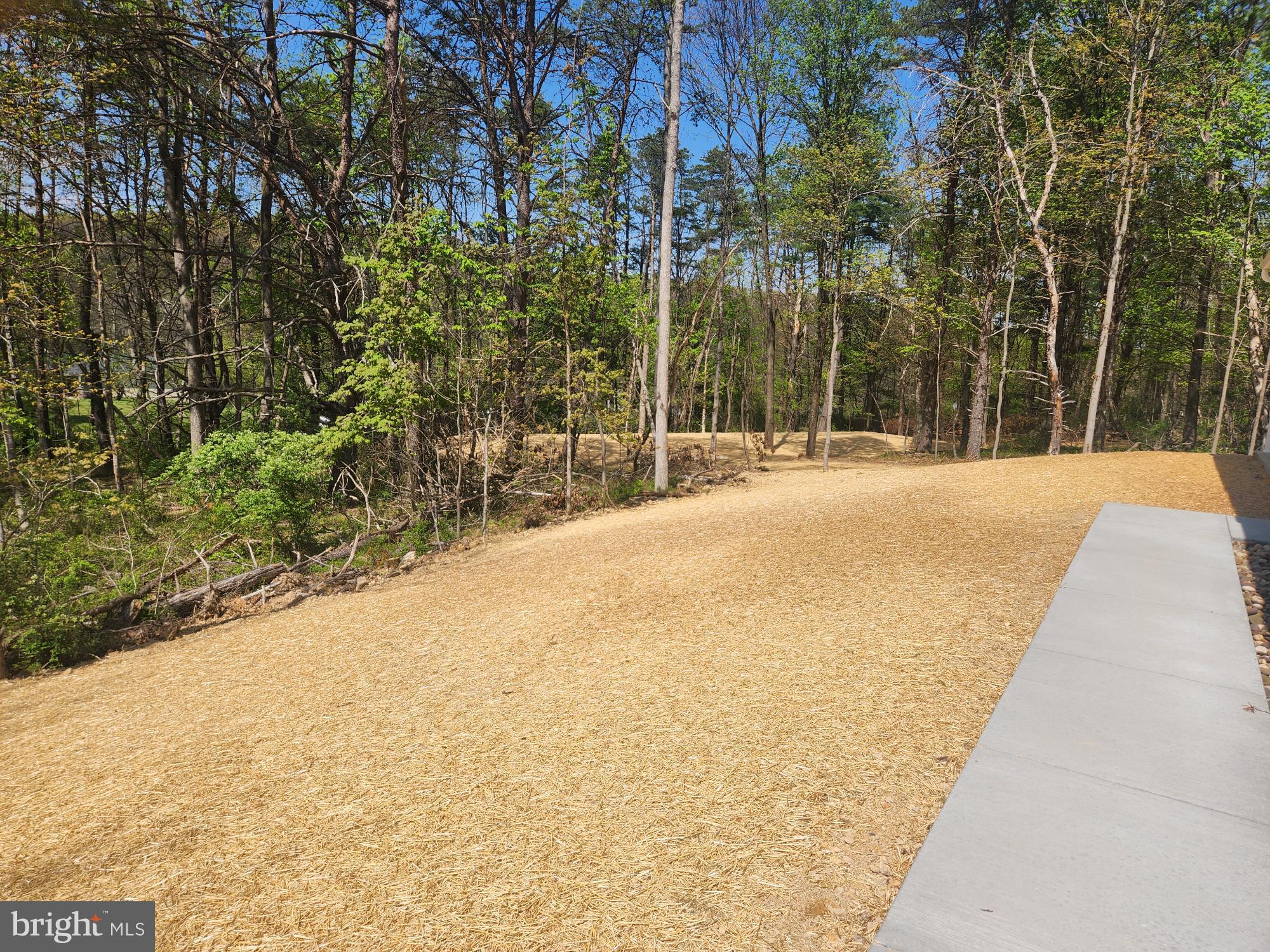 1929 Dunkleberger Road Elliottsburg, PA 17024 - Photo 42 of 48 Serene woodland path awaits exploration.